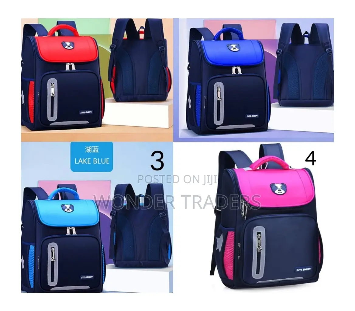 Large Sm Baby School Bag