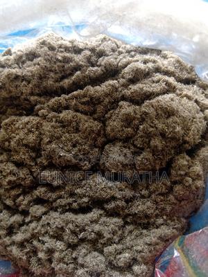 Milk Thistle - main view