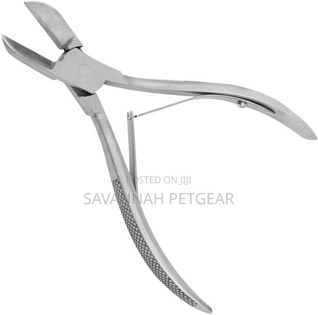 Pig Teeth Cutter Thin Jaws Rodent Teeth Incisor Cutter