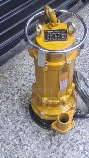 Water Pump 10,000 Litres Per 1 Hour
