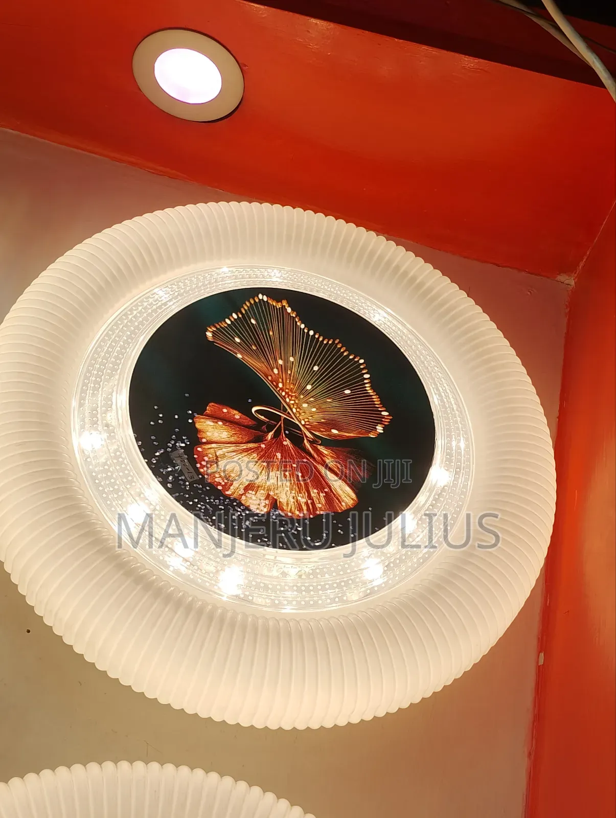 3 Color Ceiling Light