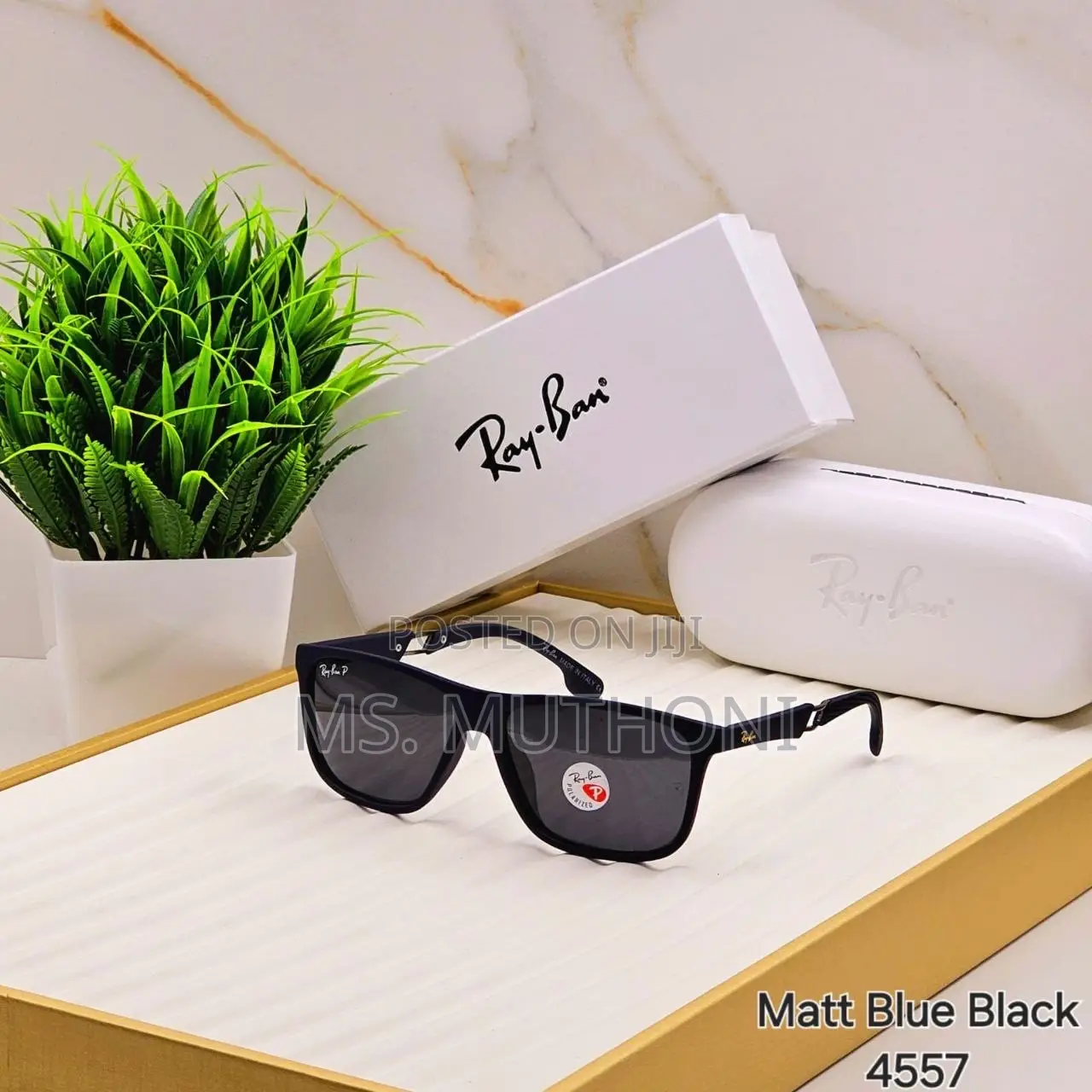 Rayban Polarized Sunglasses 
