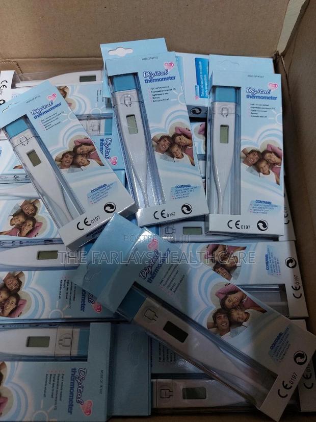 DIGITAL THERMOMETER - High Quality - main view