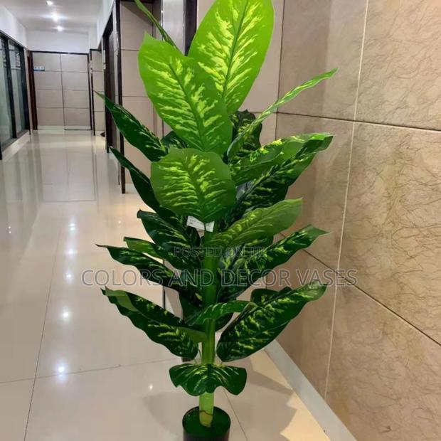 Yellow Green Plant 1.6m With Vase