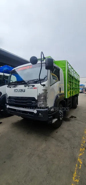 FVR Truck Isuzu 2024 White