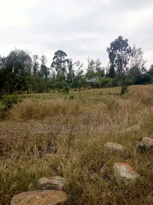 40 By 80 Plots On Sale At Kenol