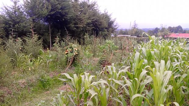 1⁄4(100 by 100 Engineer ( Kwa Ngothi) - main view