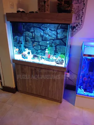 Aquarium With Fish and Full Deco