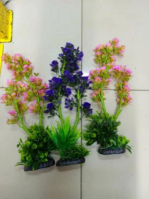 Long Sturdy Aquarium Plants - main view