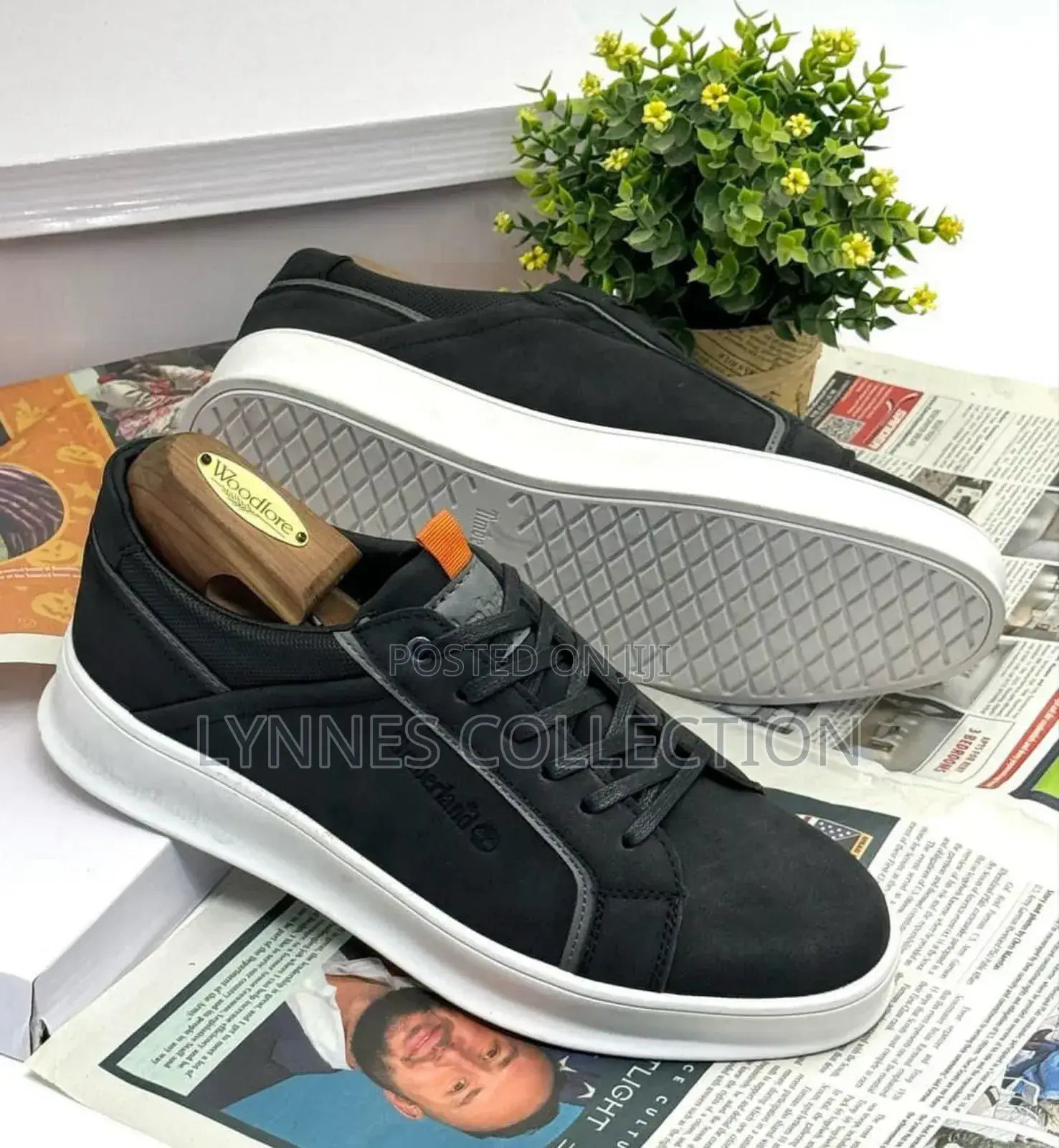 Timberland Casuals