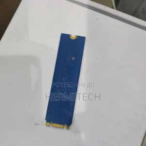 M.2 256ssd for Laptop Usage