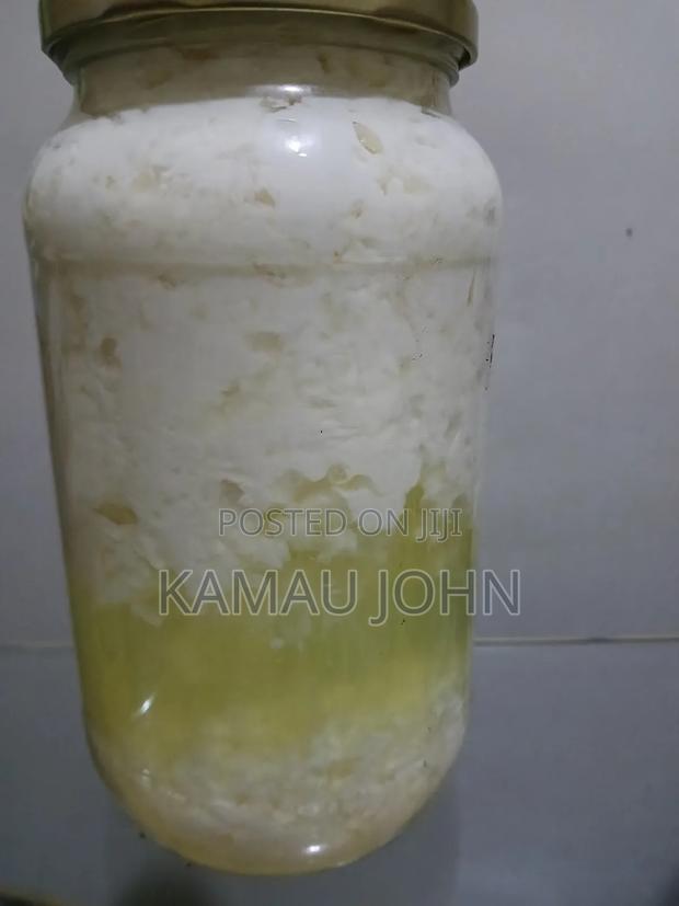 Kefir Grain - thumbnail 4