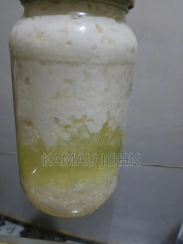 Kefir Grain - thumbnail 5