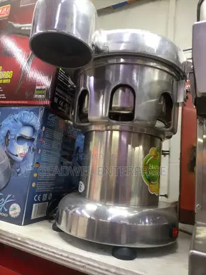 Electric Juicer