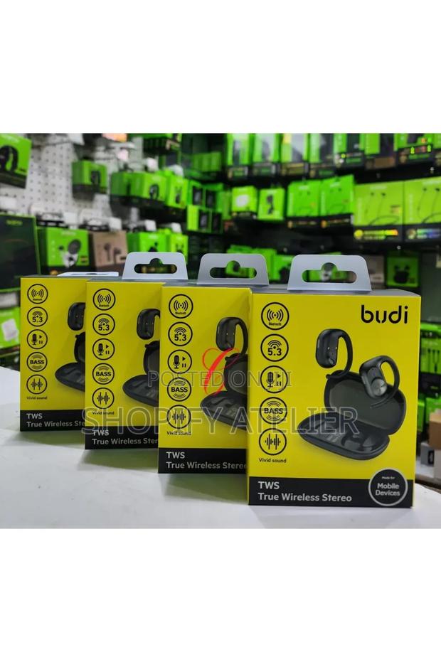 Budi Ep36b True Wireless Ear Bud - main view