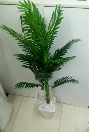 Palm Tree,Plastic Vase With Pebble Stones Included