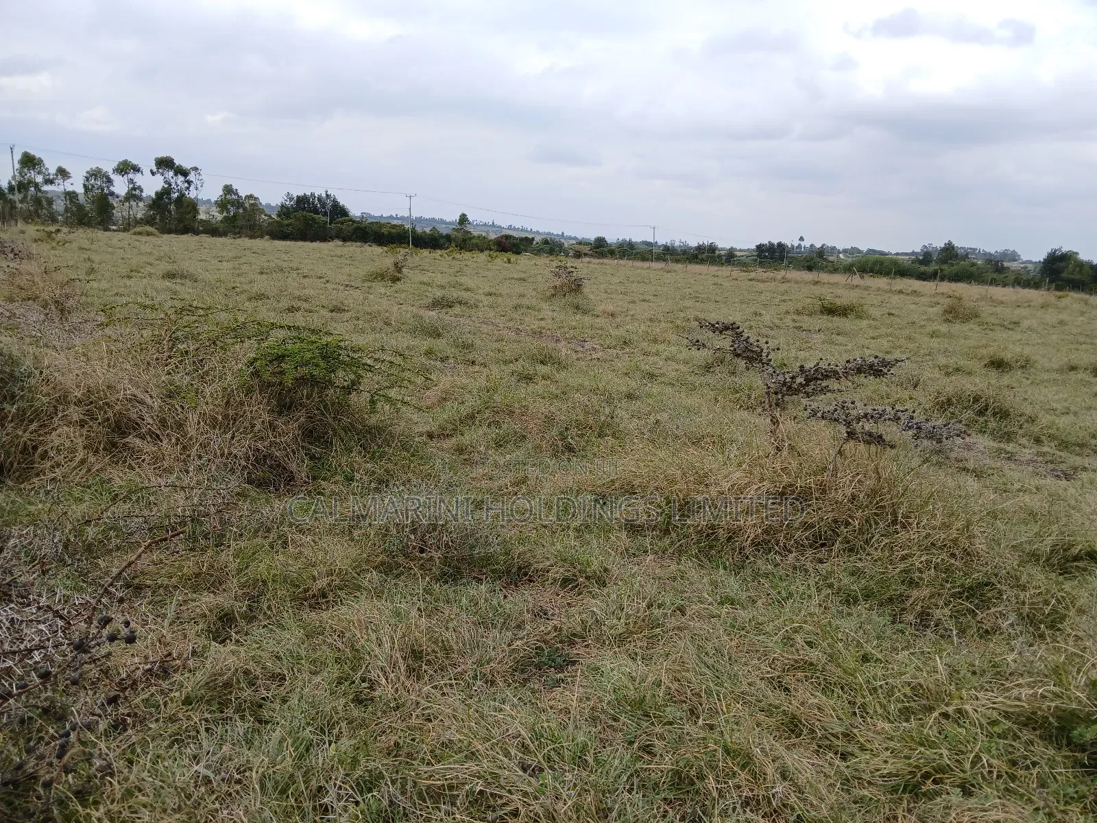 2 Prime Acres Selling Off Pipeline Road, Kiserian