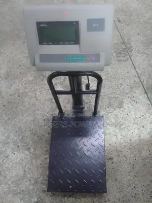 A12 Digital Weighing Scale Platform/Weighing Scale A12