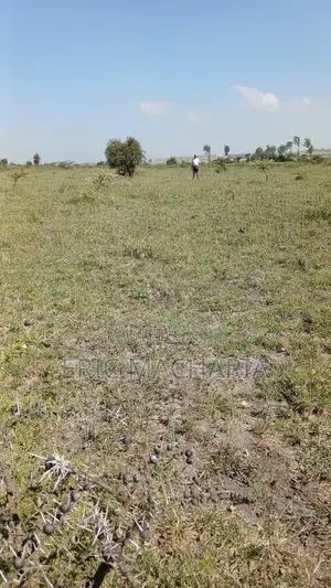 Chuna Plot, Enkasiti - Kitengela