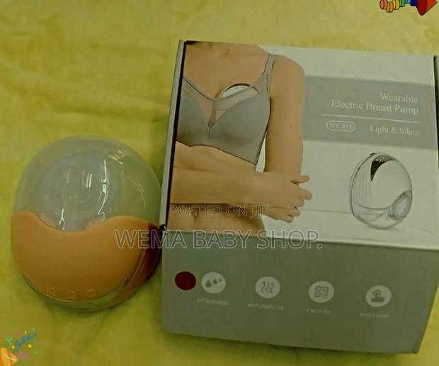 Quality Wearable Electric Breast Pump - main view