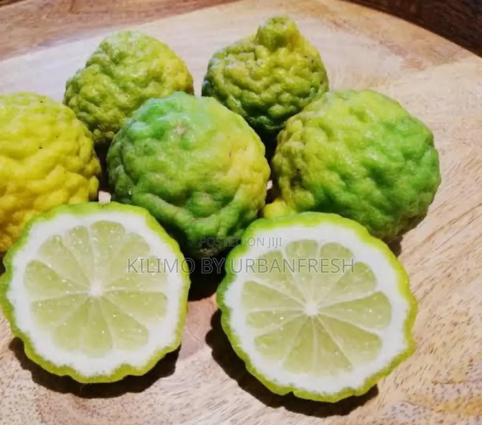 Kaffir Lime Seedlings Available