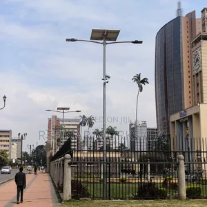 High Quality Estate, Roadway or Street Light Pole
