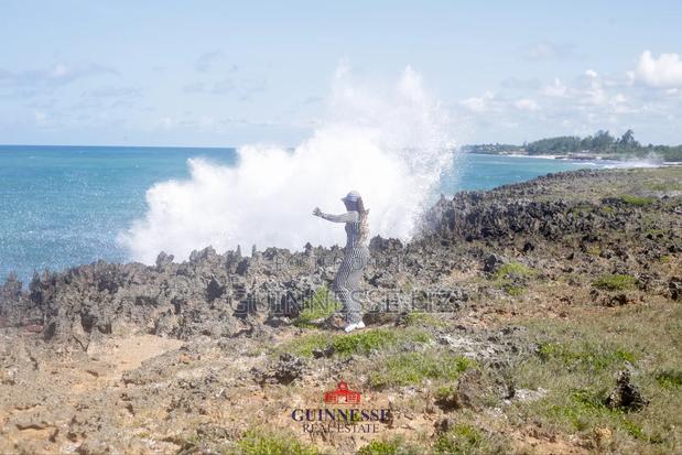 Bofa Kilifi 53 Acres for Sale First Row - thumbnail 5