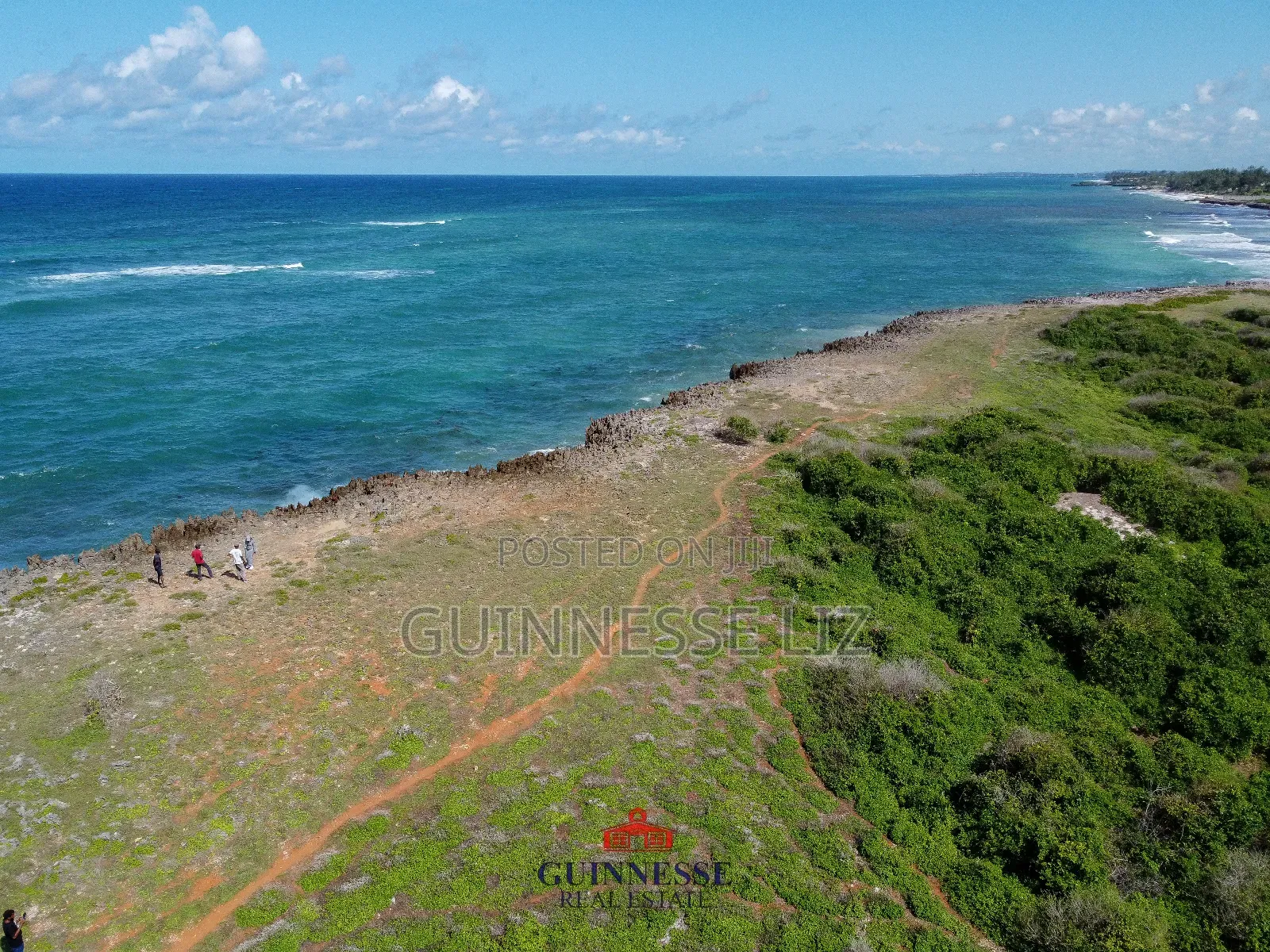 Bofa 1/2 Acre Plot