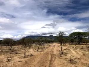 2 Acres of Land for Sale