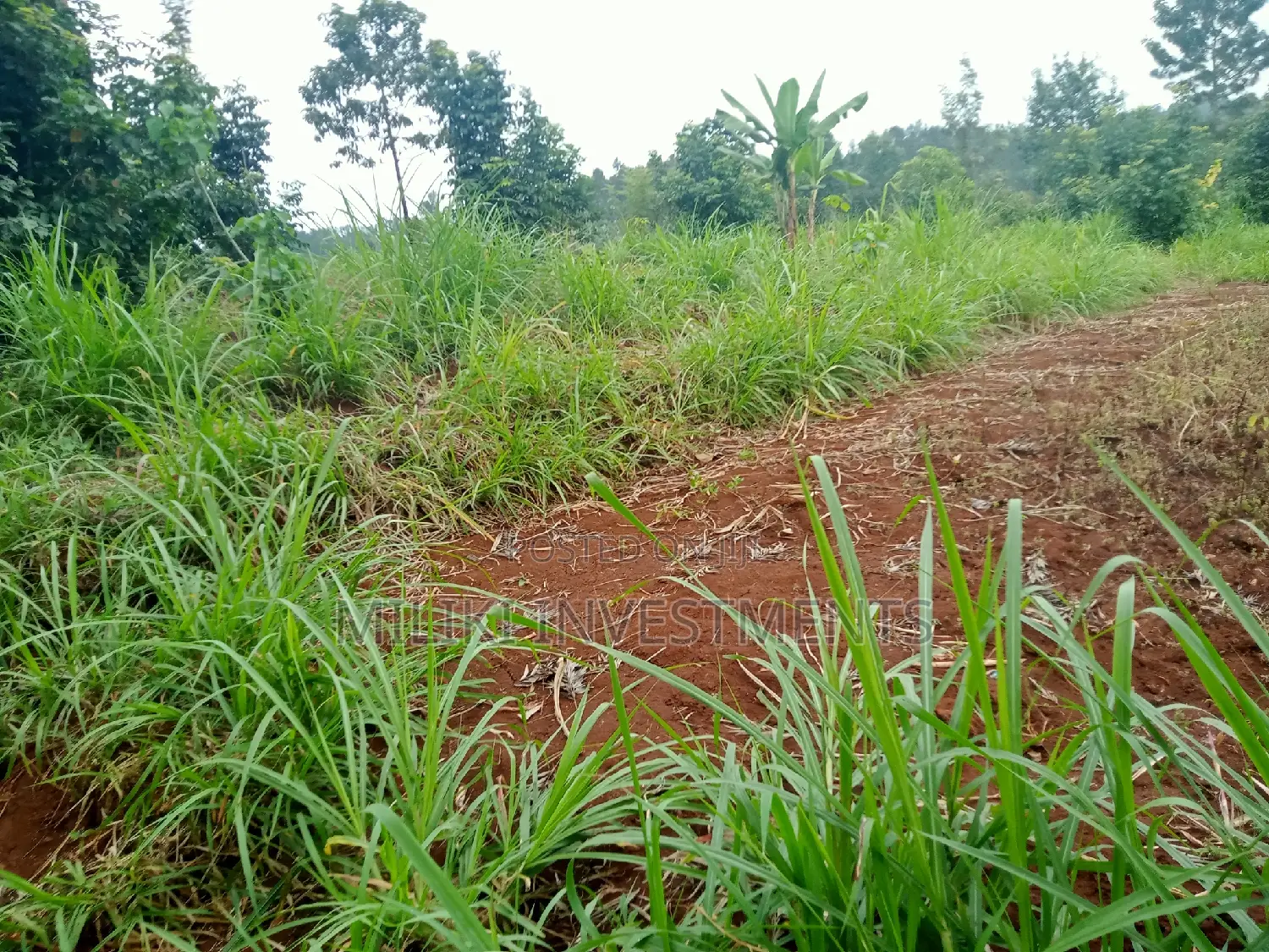 Acre of Land on Sale at Maragua