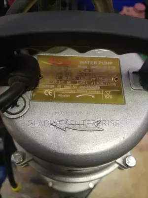 Submassible Pump