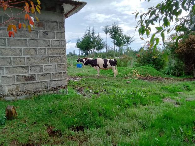 1/4 Acre With House Structure on Sale at Kinangop Eginear - thumbnail 5