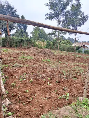 Plot for Sale in Gikambura, Kikuyu Area (1/8th or 0.05ha)