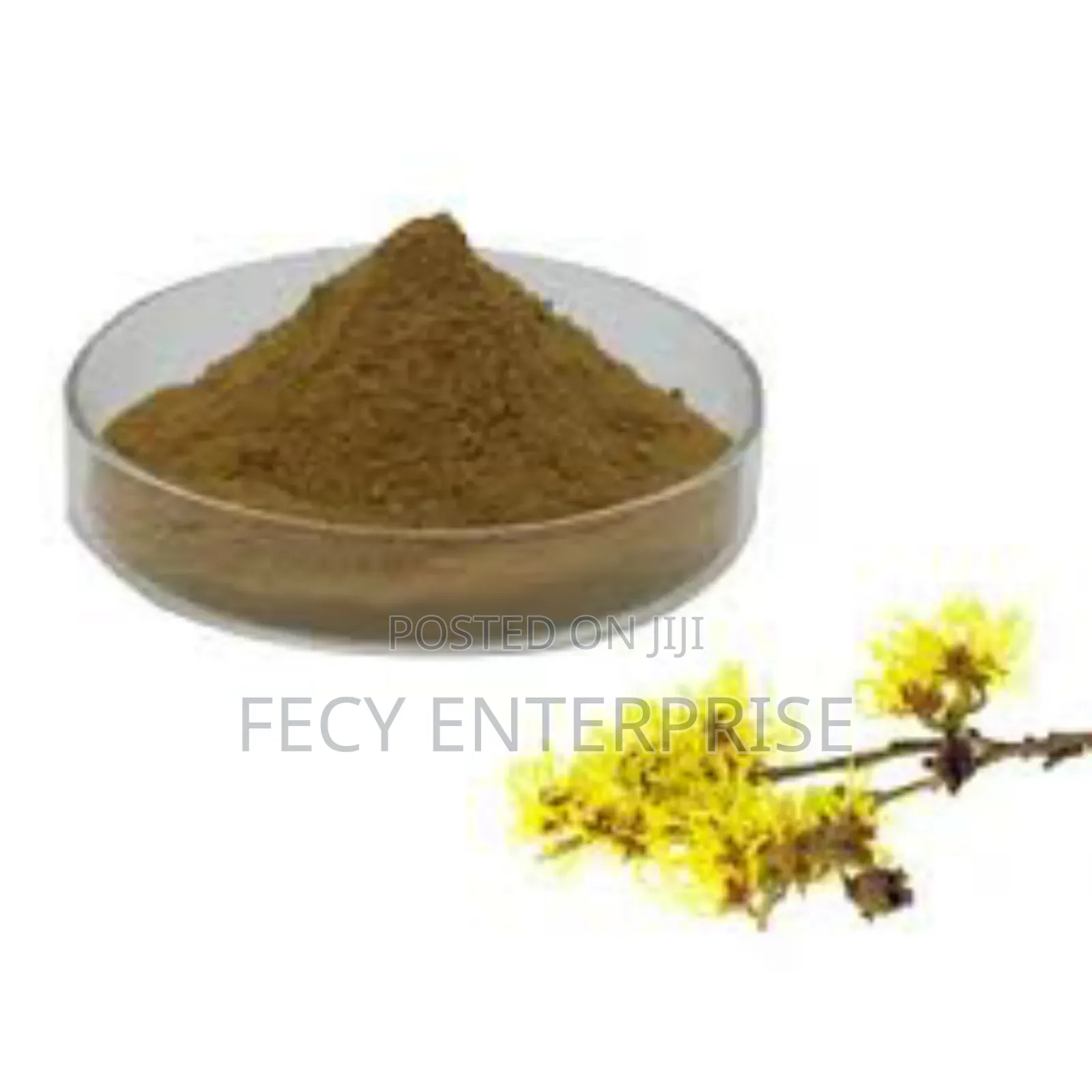 Witch Hazel Extract Powder and Liquid