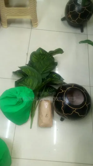 Stripped Plant Plus Calabash and Pebble Stones