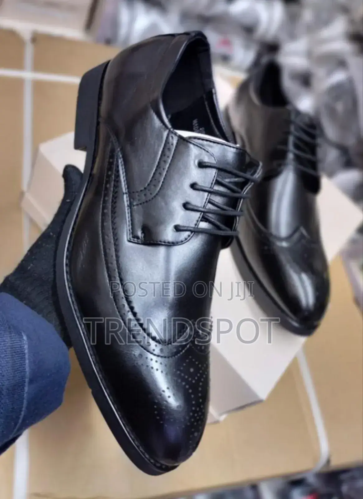 Official Size 39____45