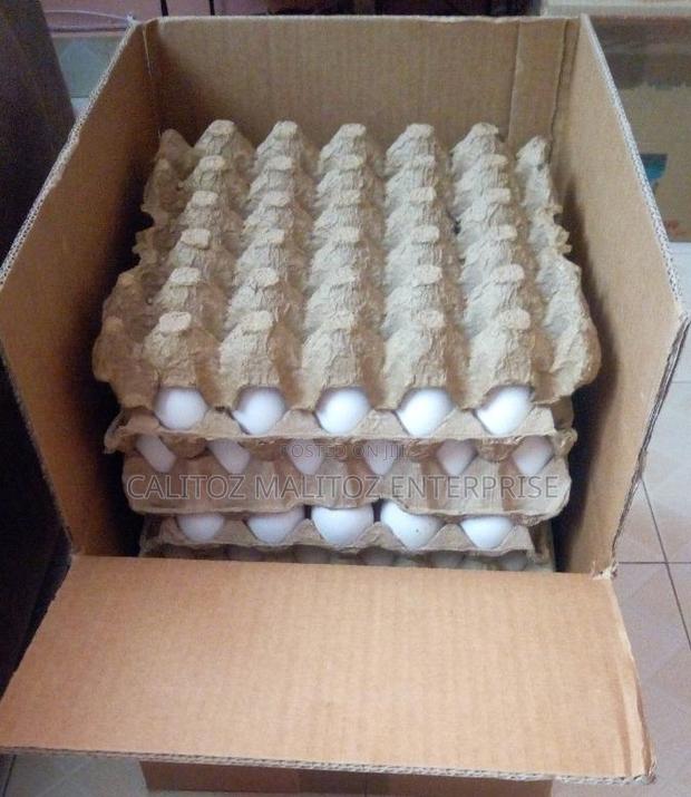 White Leghorn Eggs - thumbnail 7