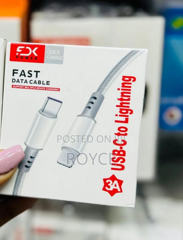 Type C to Lightning Cable - main view