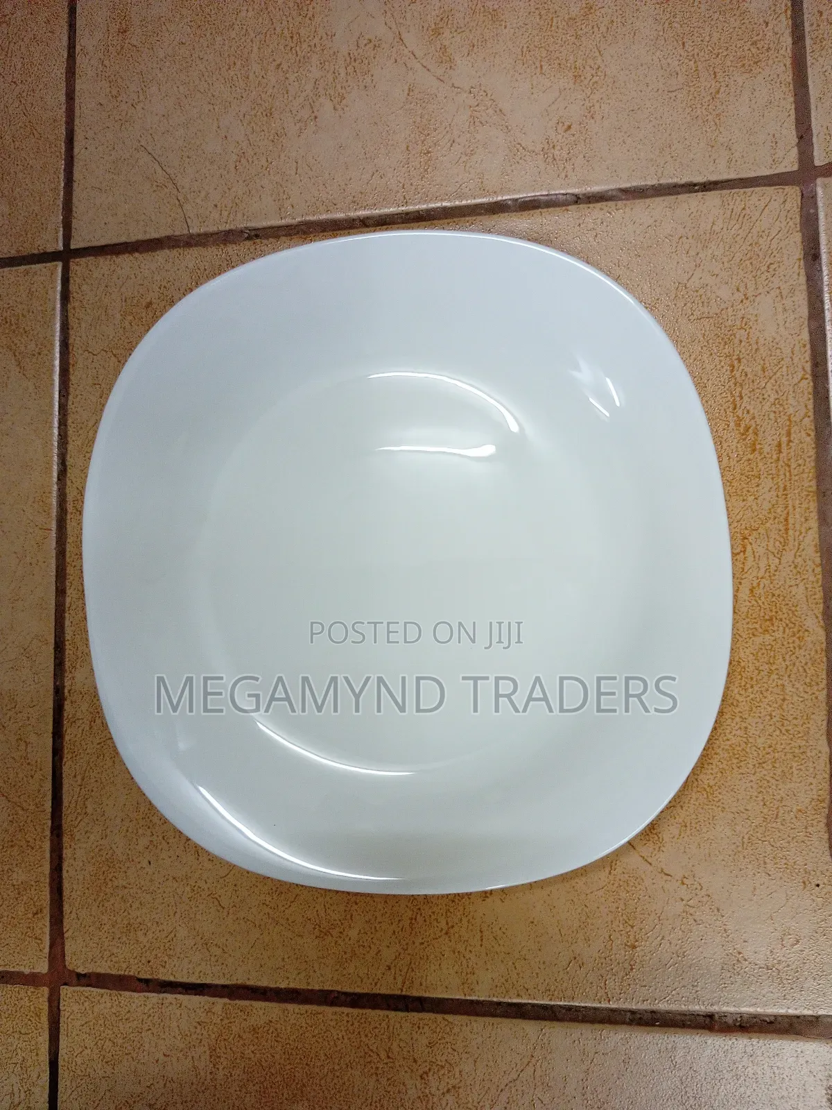 Square Dinner Plate/6pc White Plates