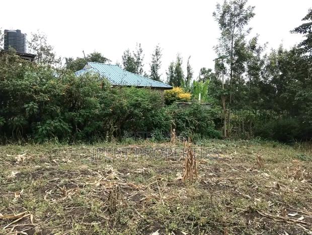 40 by 80 Plot on Sale Santamore Estate Kenol - main view