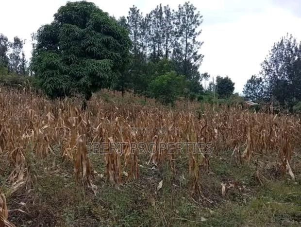 40 by 80 Plot on Sale Santamore Estate Kenol - thumbnail 3