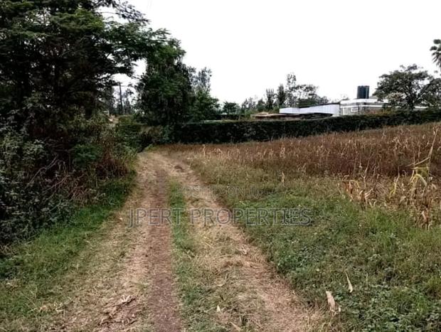 40 by 80 Plot on Sale Santamore Estate Kenol - thumbnail 4