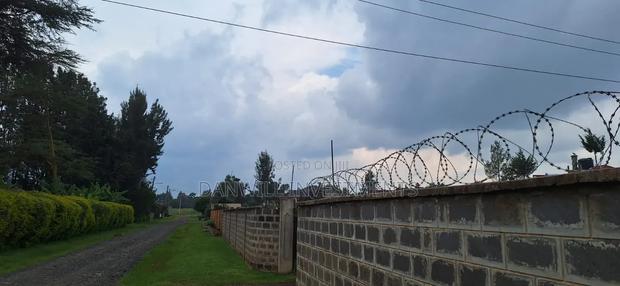 1⁄2 Acre Residential Home in Elgon View - thumbnail 2