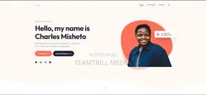 Web Developer