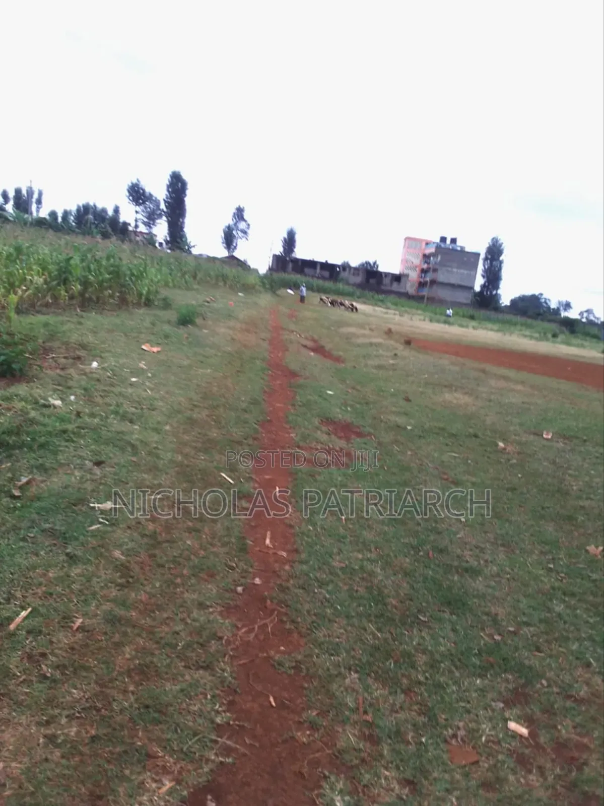 2 Acres of Land Mua Plus a 
