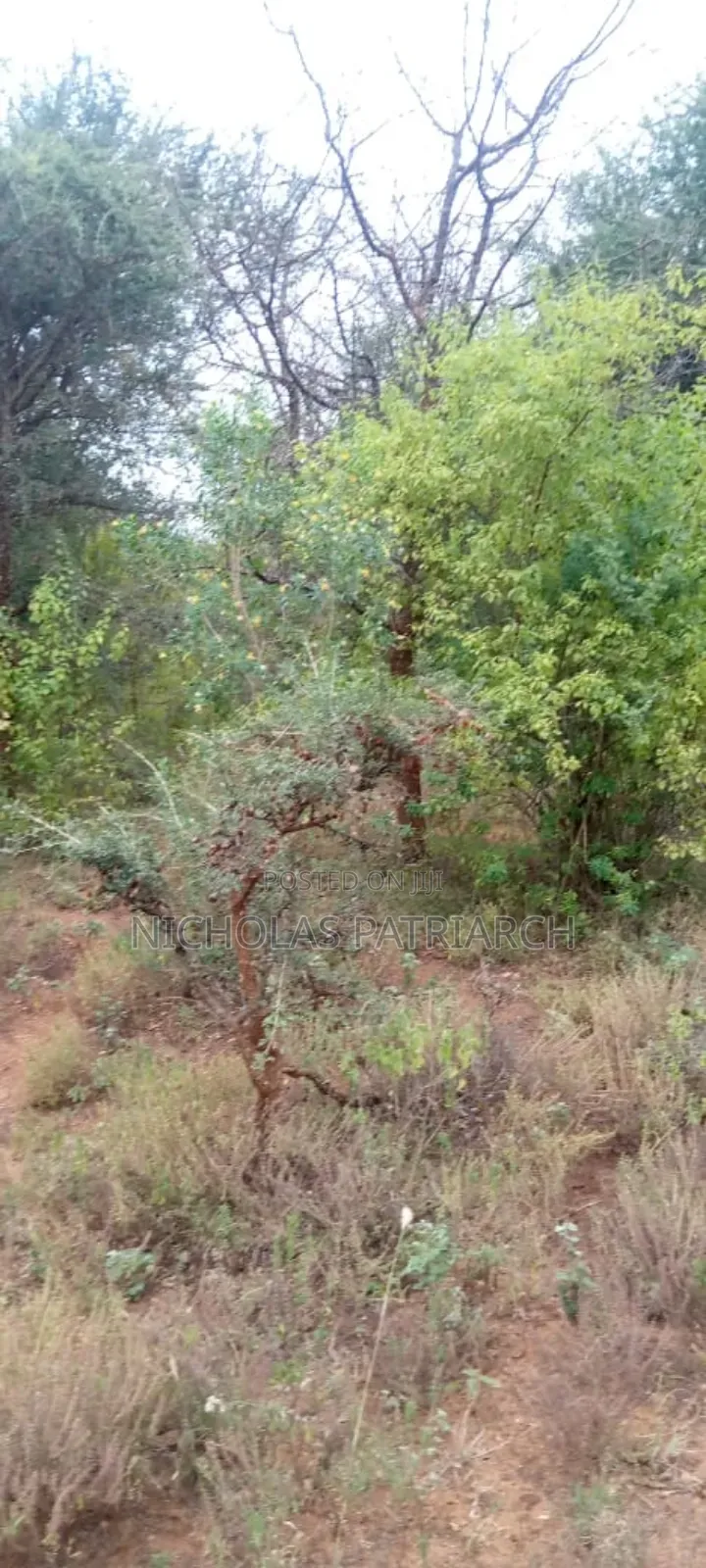 200 Acres Kitui -Mutha at Per Acre