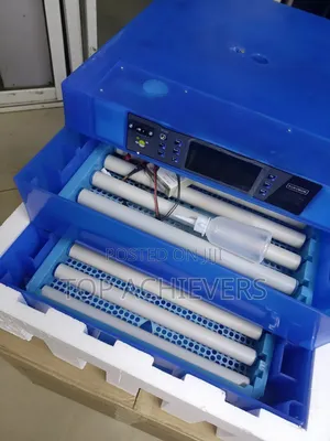 Quality 64 Egg Incubator Ac/Dc