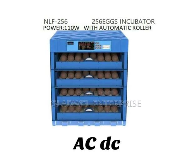 Automatic Egg Incubator