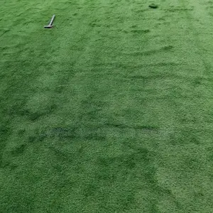 Grass Carpet21