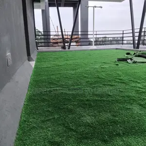 Grasscarpet22